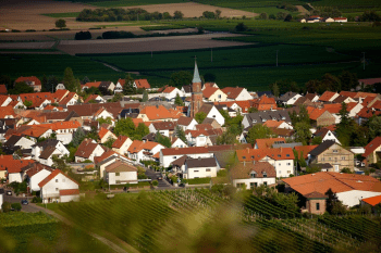 Blick auf Sausenheim