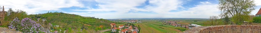 Panoramablick von Burg Neuleiningen aus